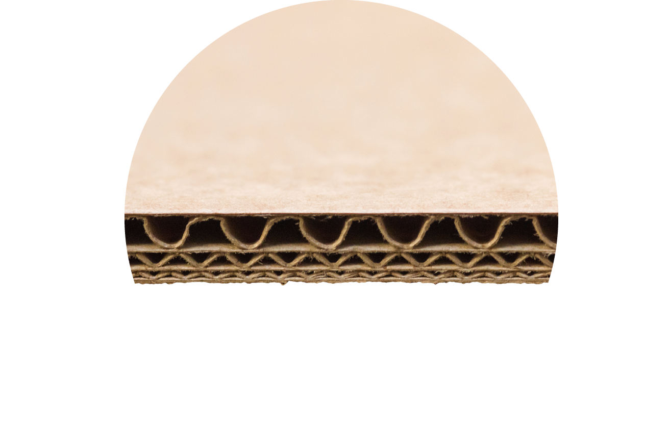 Corrugated cardboard cross section